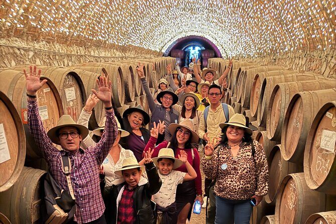 Private, Cultural and Fun Tour to Tequila - Good To Know