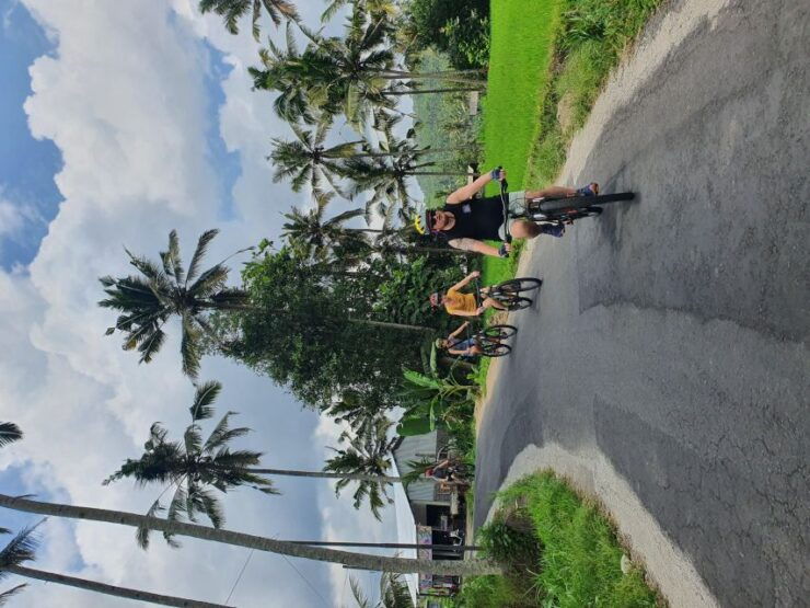 Private Cultural Cycling Tours - Good To Know
