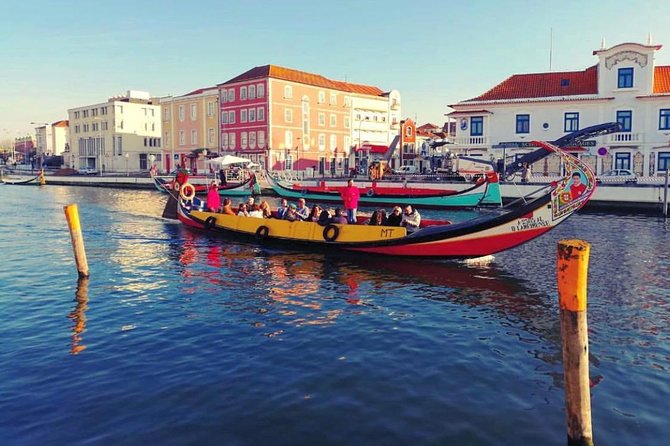Private Cultural Tour Aveiro and Coimbra From Porto - Reviews