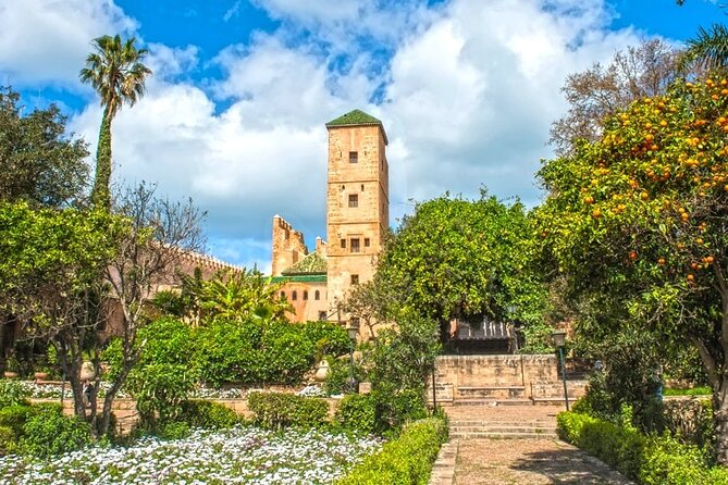 Private Cultural Walking Tour of Rabat With Licensed Tour Guide - Meeting Point and Pickup Options