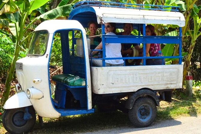 Private Culture Tour of Mekong Delta With Lunch - Common Questions