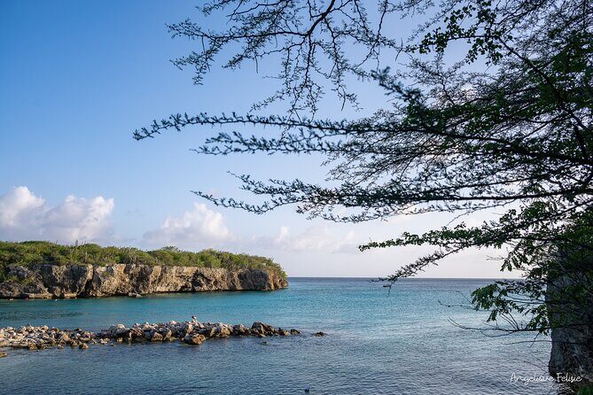 Private Curaçao West Coast: Beach & Nature Photography Tour - An In-Depth Look at the Tour Experience