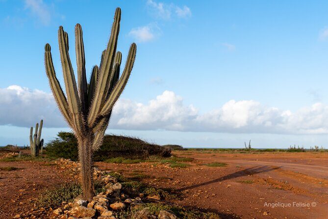 Private Curaçao West Coast: Beach & Nature Photography Tour - FAQ