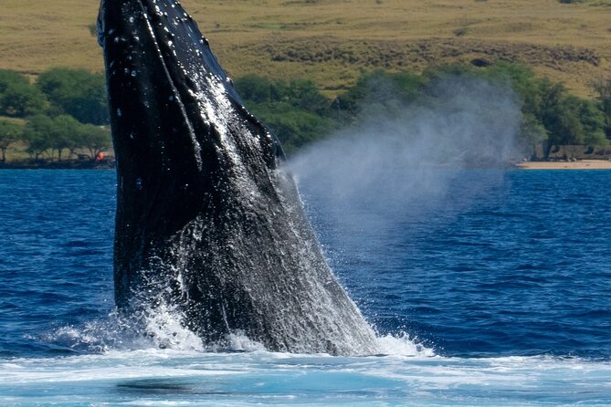 Private Custom Charter in Kawaihae - Important Information and Requirements