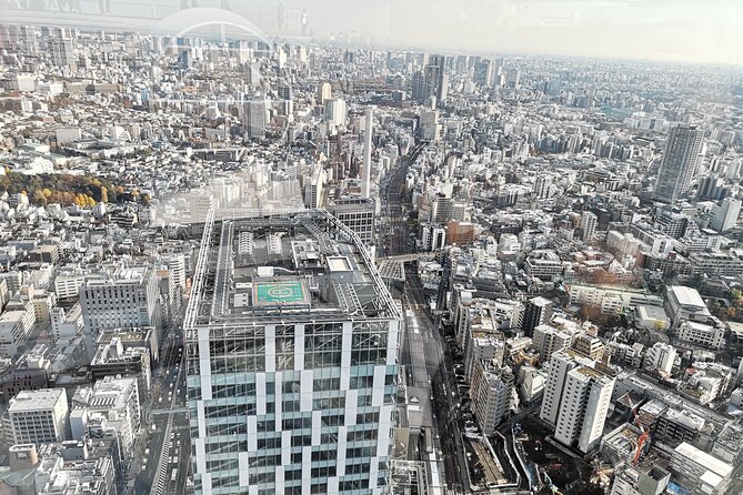 Private Custom Day in Tokyo: Secrets and Highlights With a Local Guide - Unique Cultural Experiences and Traditions