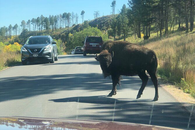 Private Custom Day Tour of the Southern Black Hills - Final Thoughts