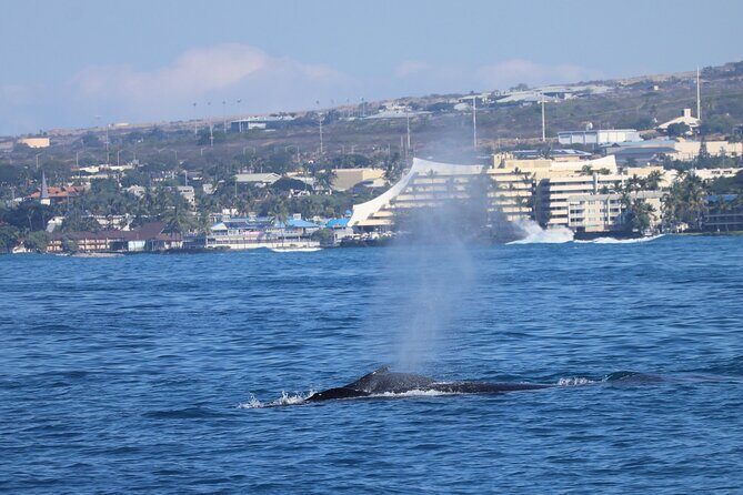 Private & Custom - Family Fish and Snorkel Charter - The Practical Details