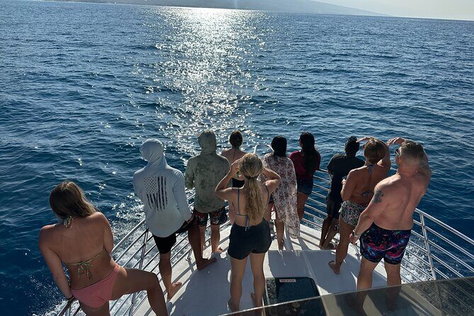 Private & Custom - Family Fish and Snorkel Charter - The Sum Up