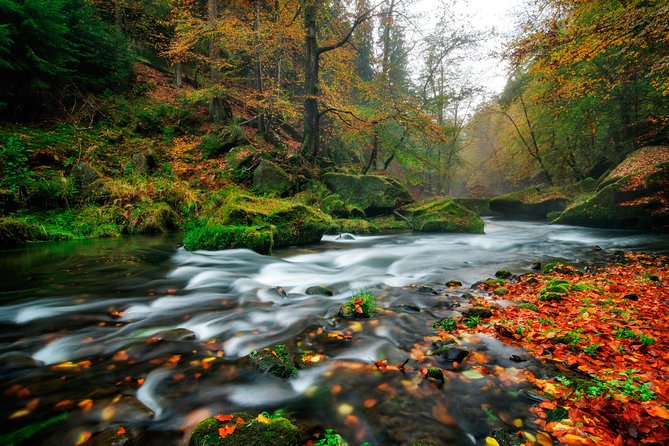 Private Custom Full Day Tour - Top Highlights of Bohemian & Saxon Switzerland - Inclusions and Amenities