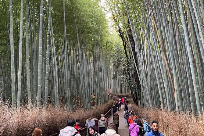Private & Custom KYOTO-OSAKA Day Tour by Toyota COMMUTER (Max 13 Pax) - Common Questions