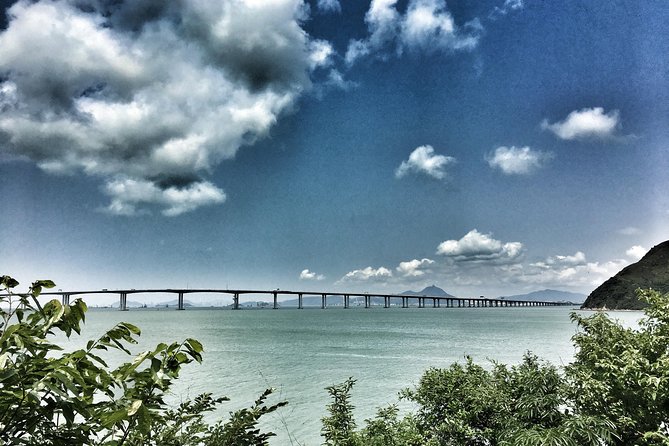 Private Custom Layover Tour - Big Buddha and Tai O - 8 Hours - Visual Insights