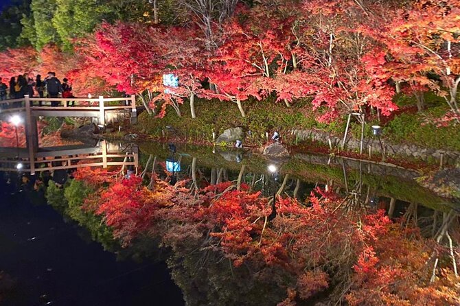 Private & Custom NABANA NO SATO Day Tour by HIACE (Max 9 Pax) - Tips for a Memorable HIACE Tour Experience