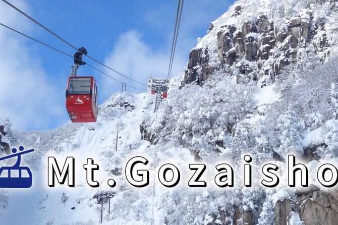 Private & Custom NABANA NO SATO Day Tour by Toyota COASTER/MICROBUS (Max 27 Pax) - Meeting and Pickup