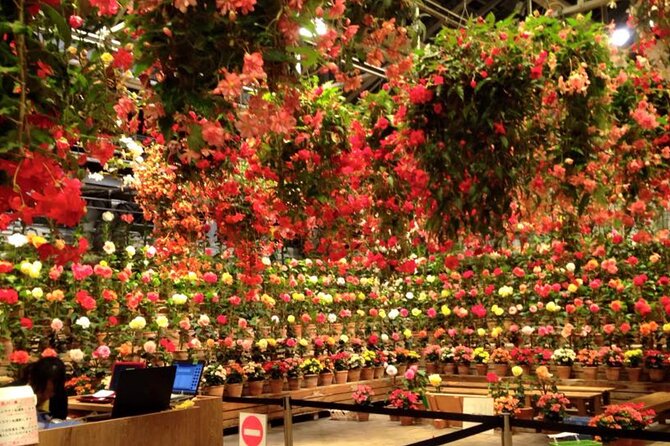 Private & Custom NABANA NO SATO Day Tour by Toyota COASTER/MICROBUS (Max 27 Pax) - Common Questions