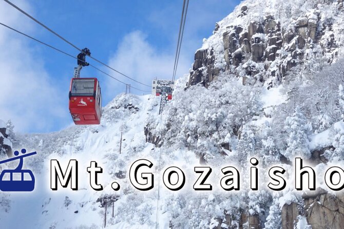 Private & Custom NABANA NO SATO Day Tour by Toyota COMMUTER (Max 13 Pax) - Meeting and Pickup Arrangements