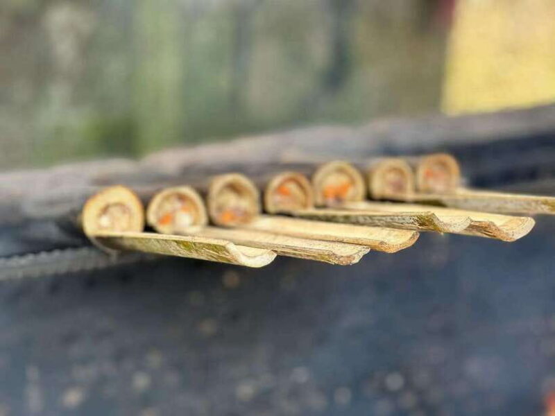 Private Custom Tour: 2 day Longji Rice Terraces Private Tour - Introduction