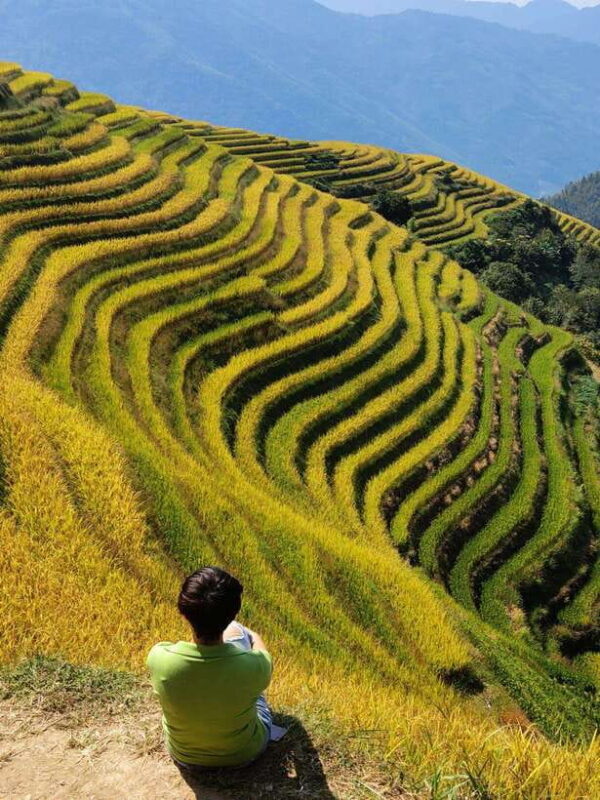 Private Custom Tour: 2 day Longji Rice Terraces Private Tour - Who Is This Tour Best For?
