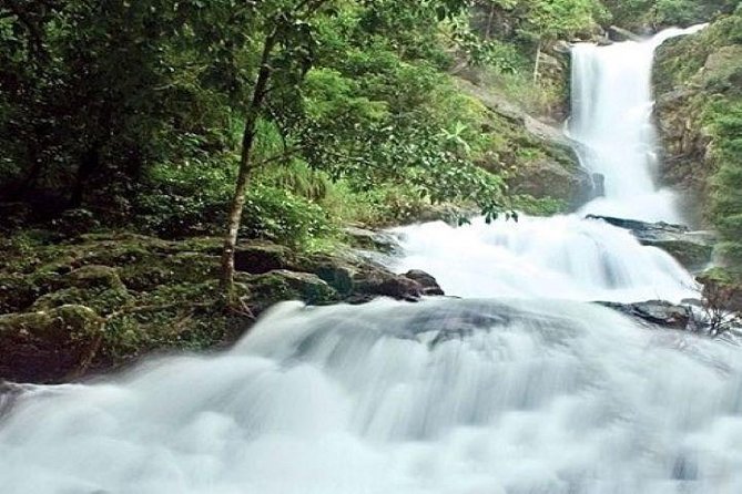 Private Custom Tour: Coorg Sightseeing With Guide in an Air-Conditioned Vehicle - Tour Inclusions
