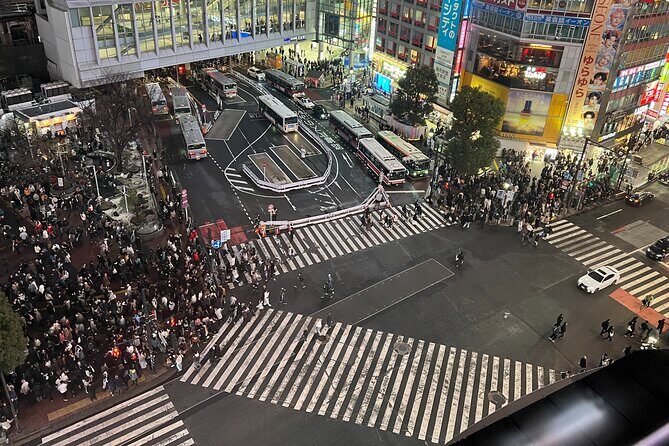 Private Custom Tour in Tokyo with a Bilingual Japanese Guide - FAQs