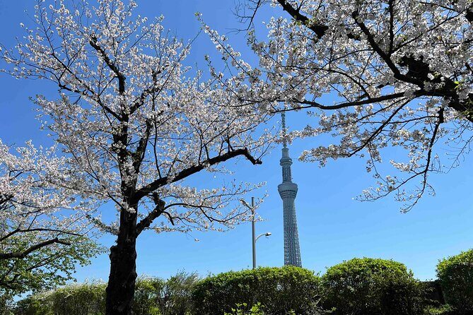 Private Custom Tour in Tokyo with a Bilingual Japanese Guide - Good To Know