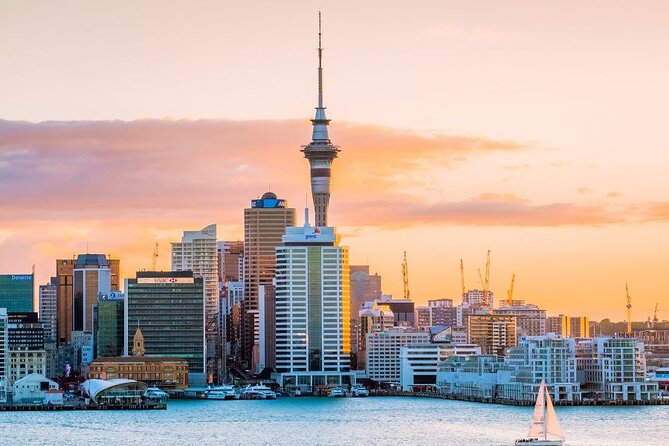 Private Custom Tour With a Local Guide Auckland - Overview of the Private Tour
