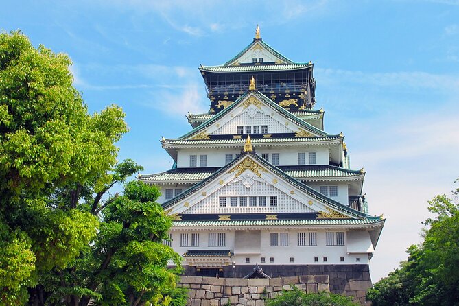 Private Custom Tour With a Local Guide Osaka - Pricing and Booking Details