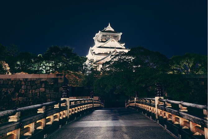 Private Custom Tour With a Local Guide Osaka - Tour Overview and Itinerary