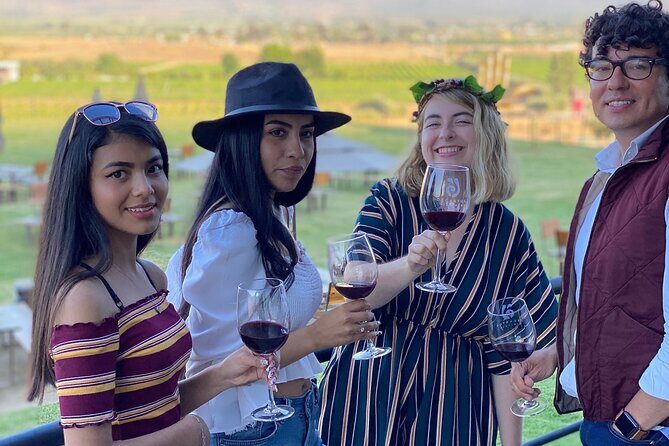 Private Custom Transport in Valle for 5 or 6 People Wine Food - Why Choose This Private Transport Service?