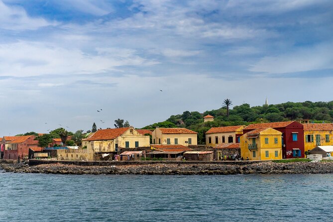 Private Custom Walking Tour With a Local Guide in Dakar - Reviews