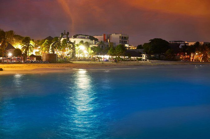 Private Custom Walking Tour with a Local Guide Playa del Carmen - Who Should Book This Tour?