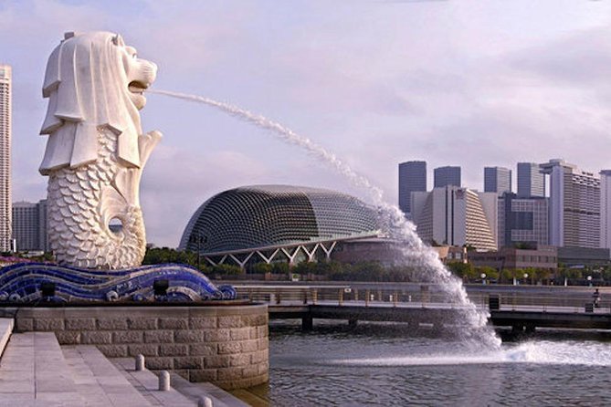 Private Customised Singapore Airport Layover Tour By Car - Tips for a Comfortable Tour
