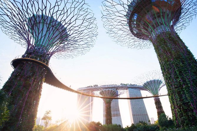 Private Customised Singapore Walking Tour - Pricing and Booking Details