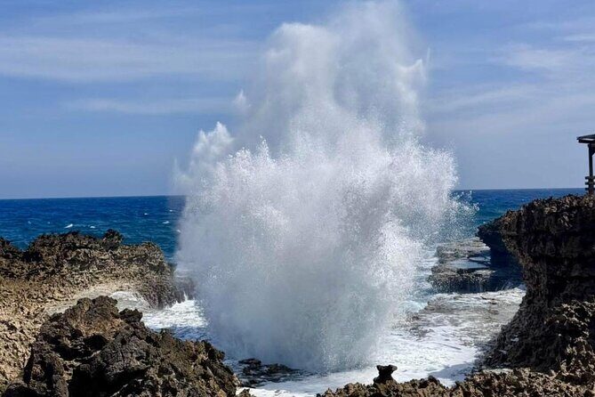 Private Customizable Curacao Beaches, Nature & Countryside Tour - Good To Know