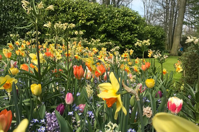 Private Customizable Day Tour (/-8 Hrs) From Amsterdam - Pickup and Language Options