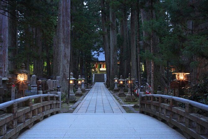 Private Customizable Day Tour in Kyoto Koyasan and Osaka - Why Choose a Private Customizable Tour?