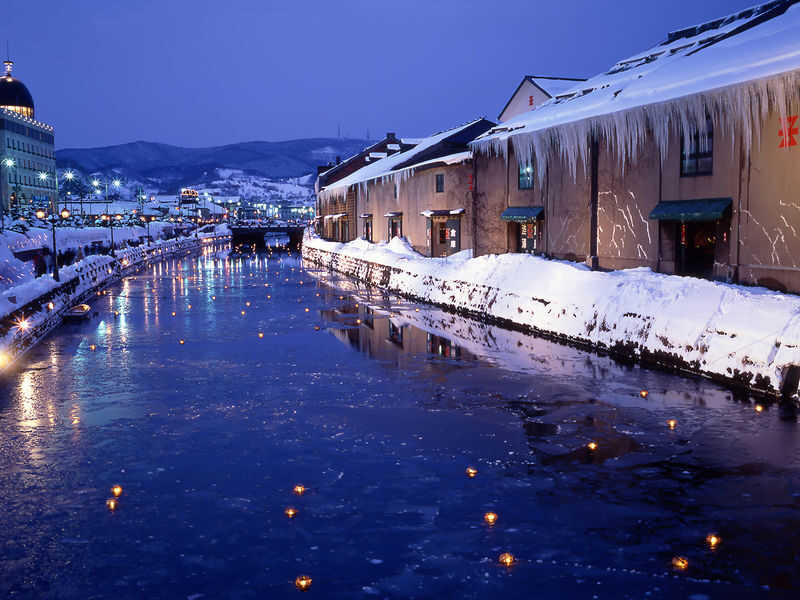 Private Customizable Day Tour to Sapporo & Otaru (From Sapporo) - A private car changes the shape of a Hokkaido day