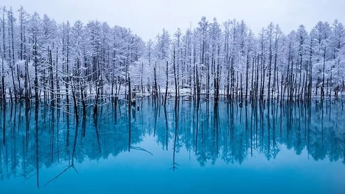 Private Customizable Day Tour to Sapporo & Otaru (From Sapporo) - Choose the right package before planning the day