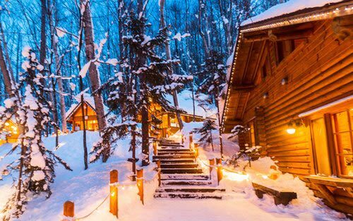 Private Customizable Day Tour to Sapporo & Otaru (From Sapporo) - Room for your group, with clear limits