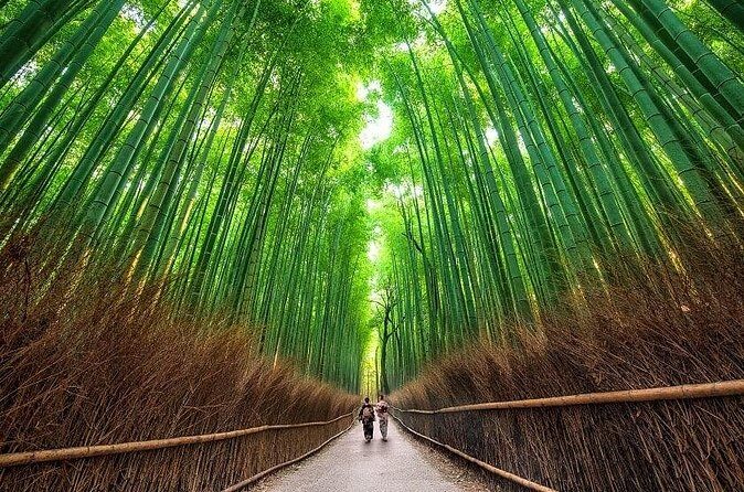 Private Customizable Kyoto Day Tour by Car from Osaka - Fourth Stop: Arashiyama