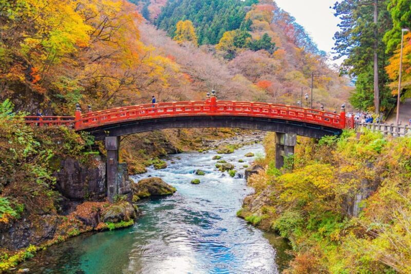Private Customizable Nikko Full-Day Tour with English Driver - Who Is This Tour Best For?