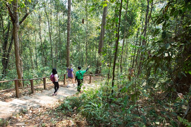 Private Customizable Surrounding Area of Chiang Mai Tour Full Day - Cancellation Policy