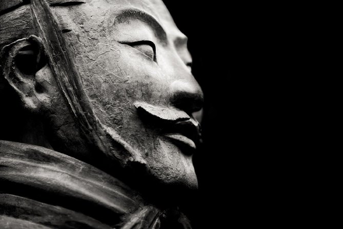 Private Customizable Terracotta Warriors Full Day Tour - Pricing and Logistics