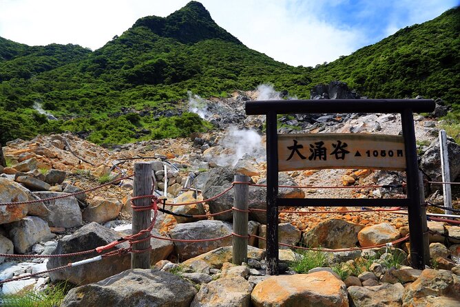 Private Customizable Tour in Hakone - Itinerary Details