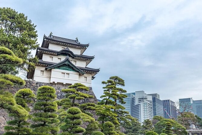Private Customizable Tour in Tokyo - The Sum Up