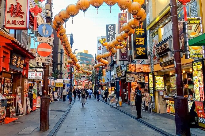 Private Customizable Tour in Yokohama - Vehicle and Luggage Details