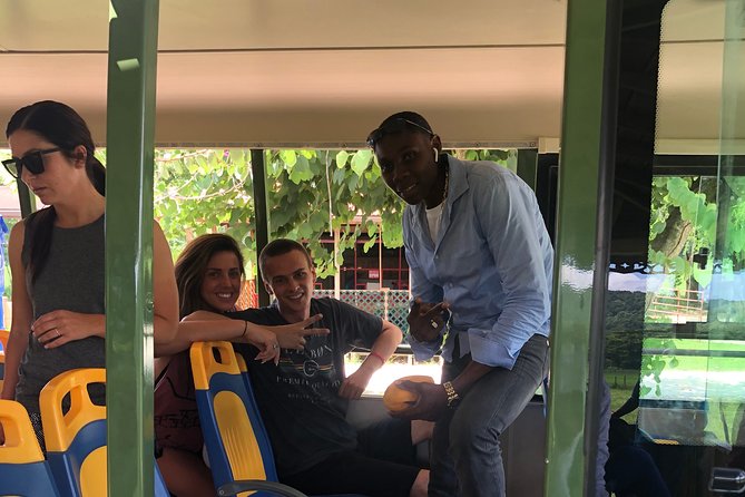 Private & Customize Tour From Montego Bay to Y S Falls - Tour Highlights