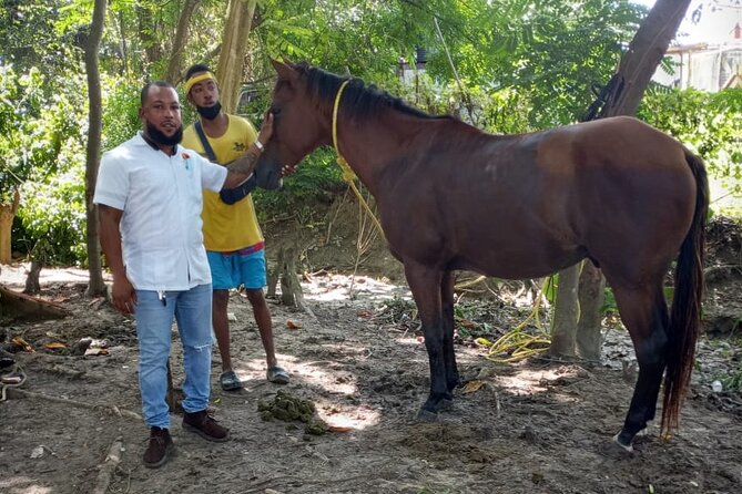 Private & Customize Tour to Martha Brae Rafting and Horseback Riding N Swim - Pricing and Booking Details