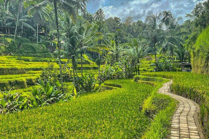 Private Customize Ubud Day Tour With Experienced Driver - A Deep Dive Into the Ubud Experience