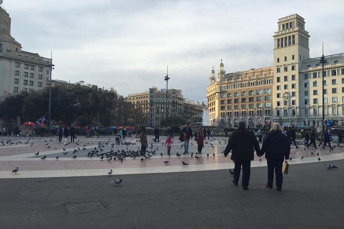 Private Customized Barcelona Tour by Mercedes VIP Bus and Personal Expert Guide - Options for Exploration