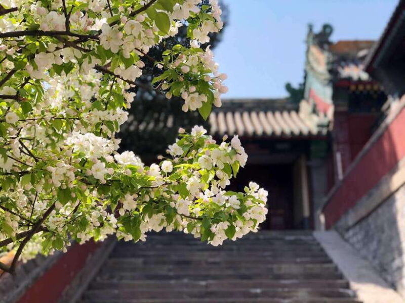 Private Customized Beijing Garden Tour - An In-Depth Look at the Experience